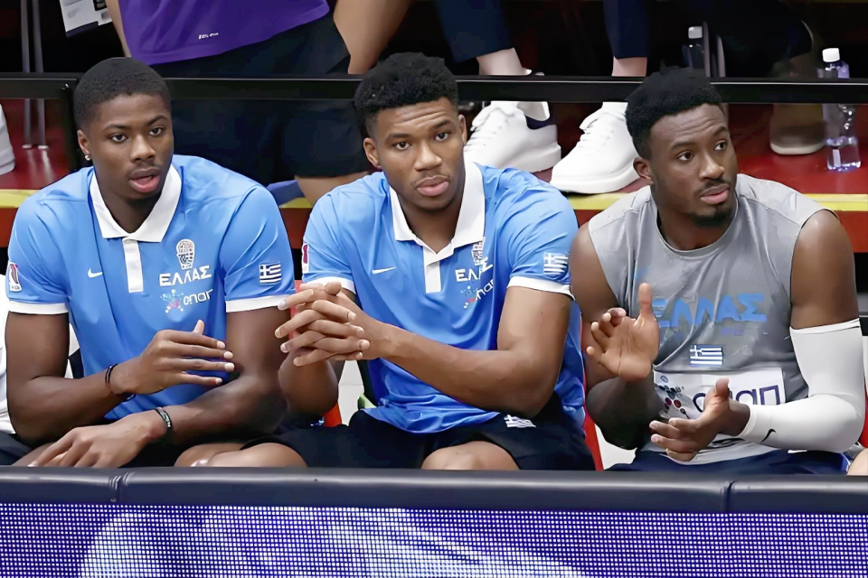 布里奇斯的, 证实 布里奇斯的, 证实